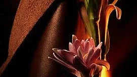 Best Long-Lasting Oud Perfumes in Dubai (2026 Luxury Guide)