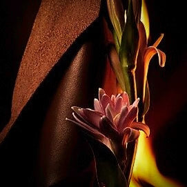 Leather & Amber & Tobacco Scents