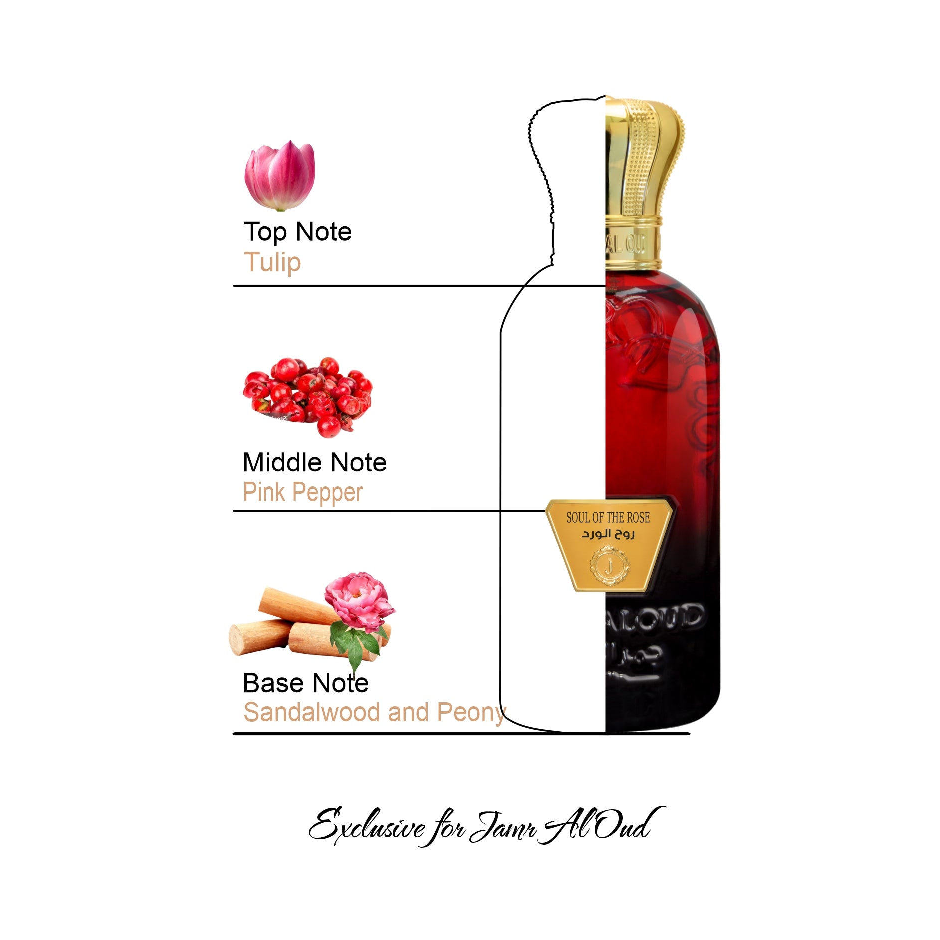 Soul of the Rose Perfume