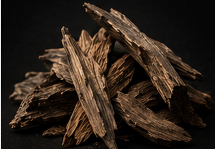 Find Your Signature Scent