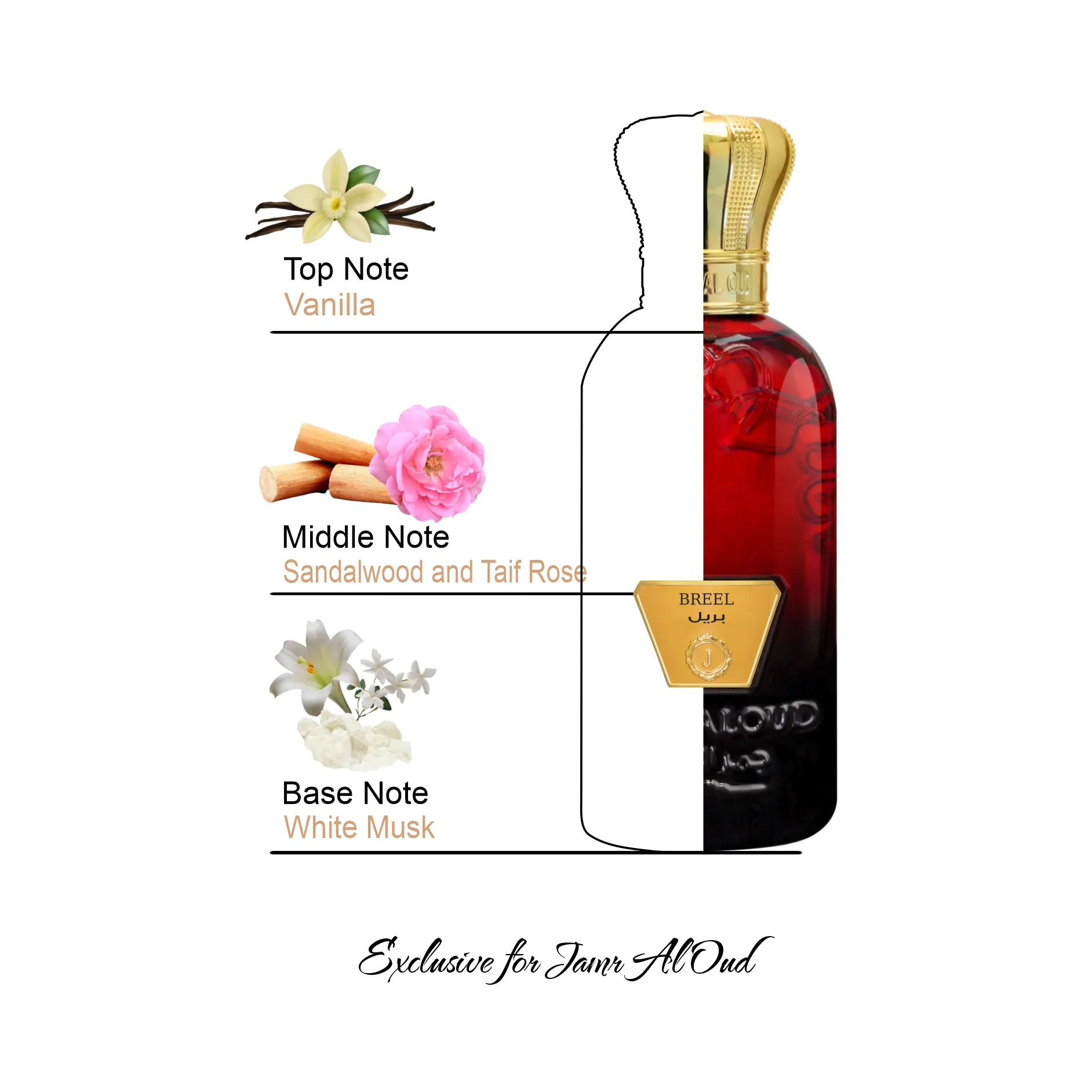 BREEL PERFUME