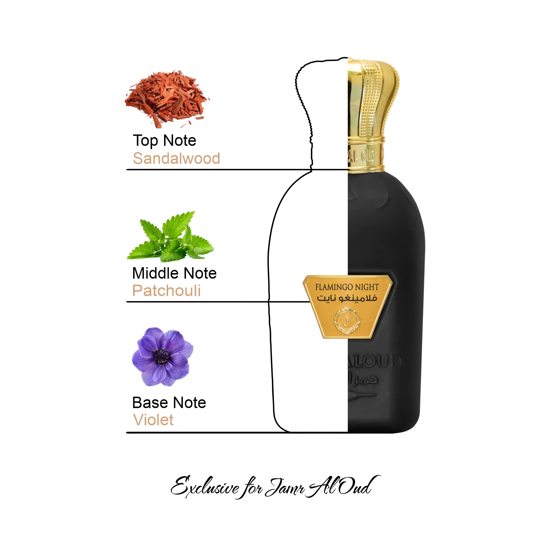 Flamingo Night Perfume
